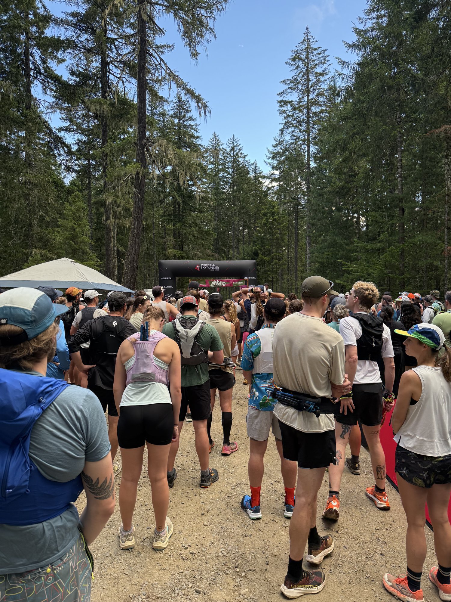 The start line at Big Creek, under the trees